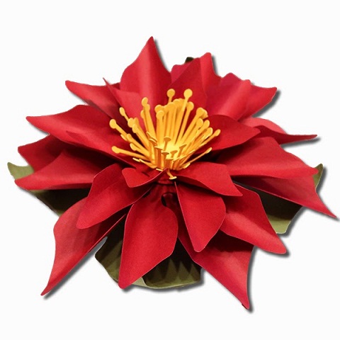 9 Creative Poinsettia Crafts to Make this Holiday Season