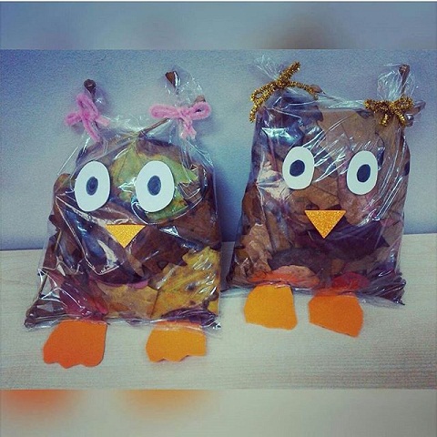 9 Creative and Adorable Owl Crafts for Kids and Adults