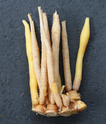 Can Pregnant Women eat Chinese Food? | I Fashion Styles