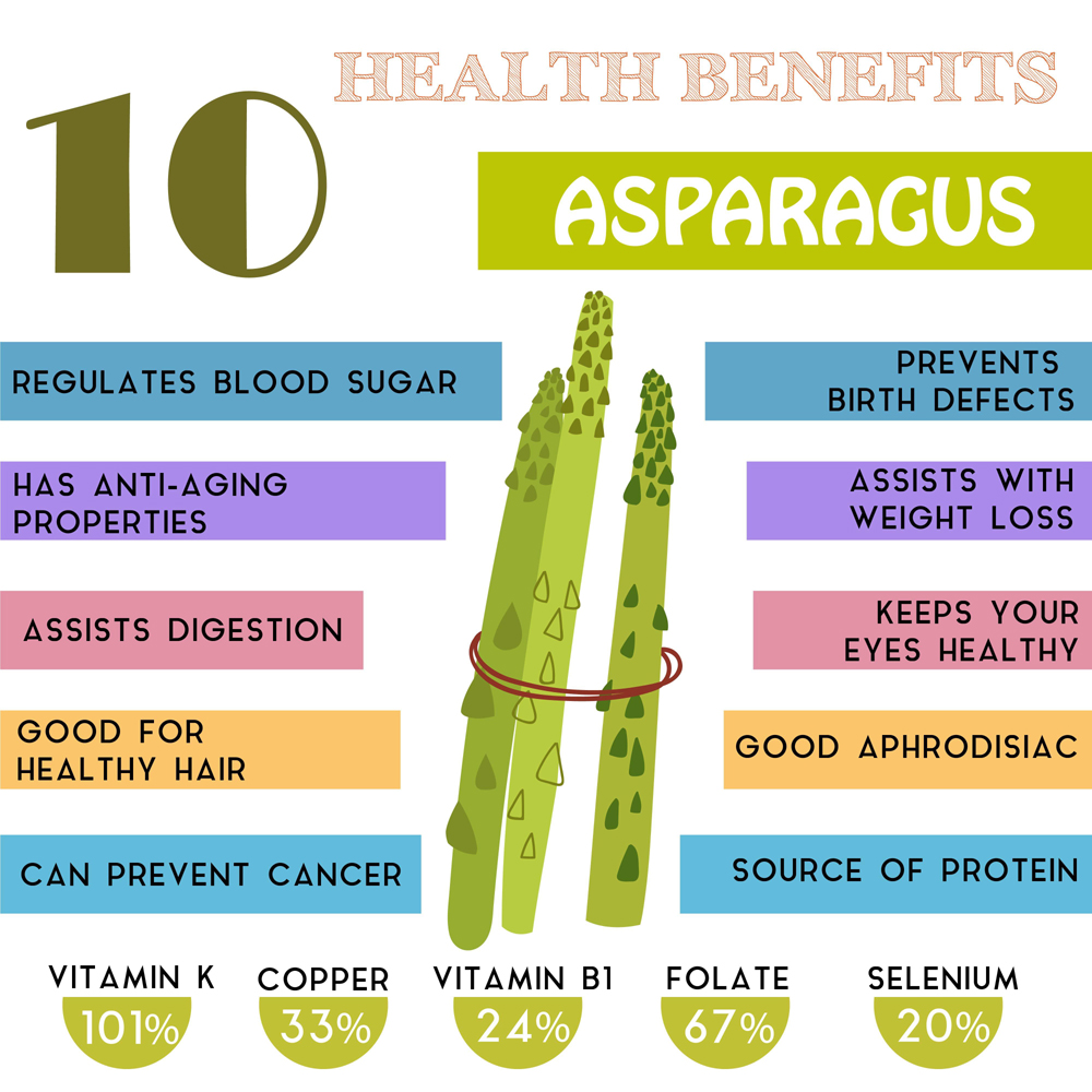 Top 15 Benefits of Adding Asparagus to Your Diet