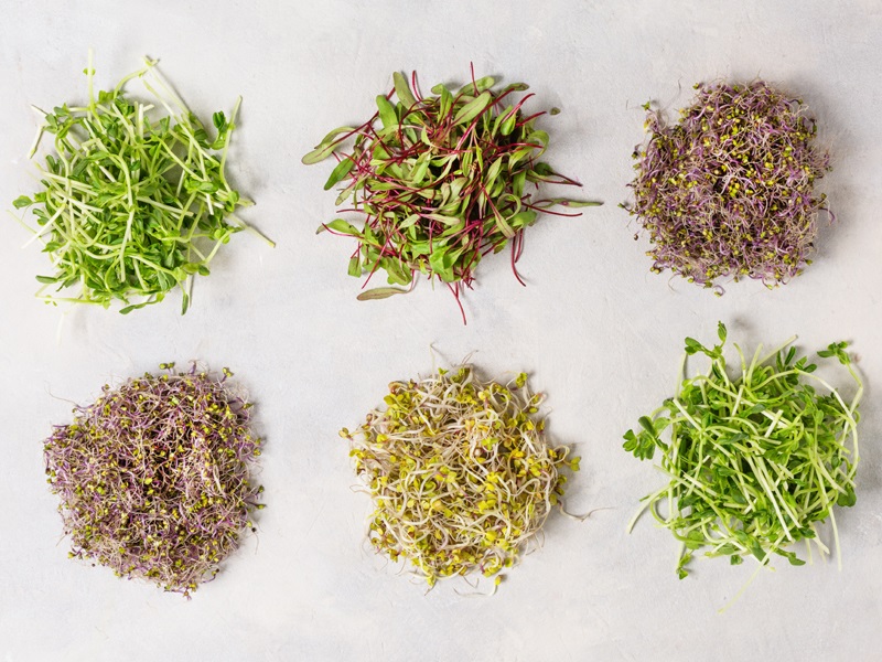 Eating Sprouts During Pregnancy Could Be Harmful And Unwise