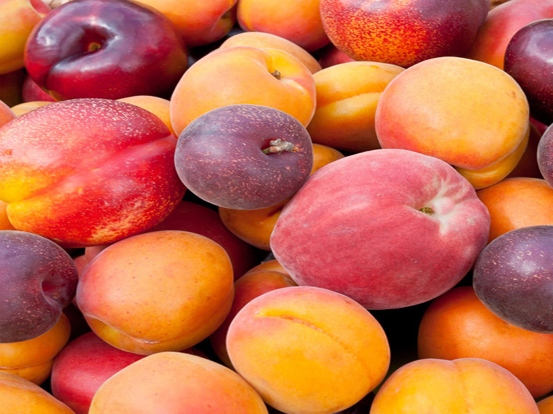 Peach Fruit During Pregnancy – Health Benefits And Side-Effects