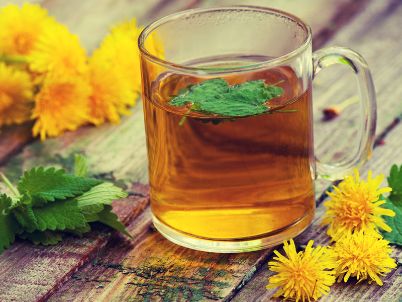 Benefits of Dandelion Tea During Pregnancy | I Fashion Styles
