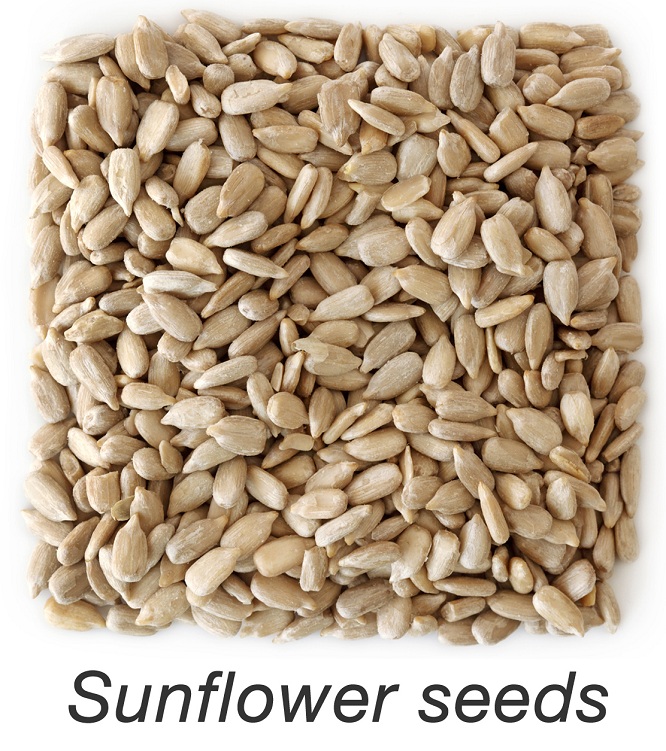 Sunflower Seeds During Pregnancy | I Fashion Styles
