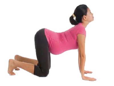 10 Simple and Best Exercises For Normal Delivery