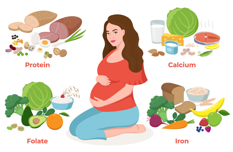 20 Best and Healthy Food Recipes for Pregnant Women