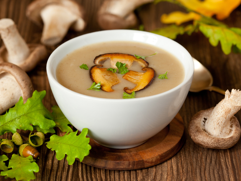 Mushroom During Pregnancy: Benefits and Side Effects