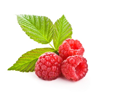 Is Raspberry Leaf Tea Safe During Pregnancy? A Fact Check!