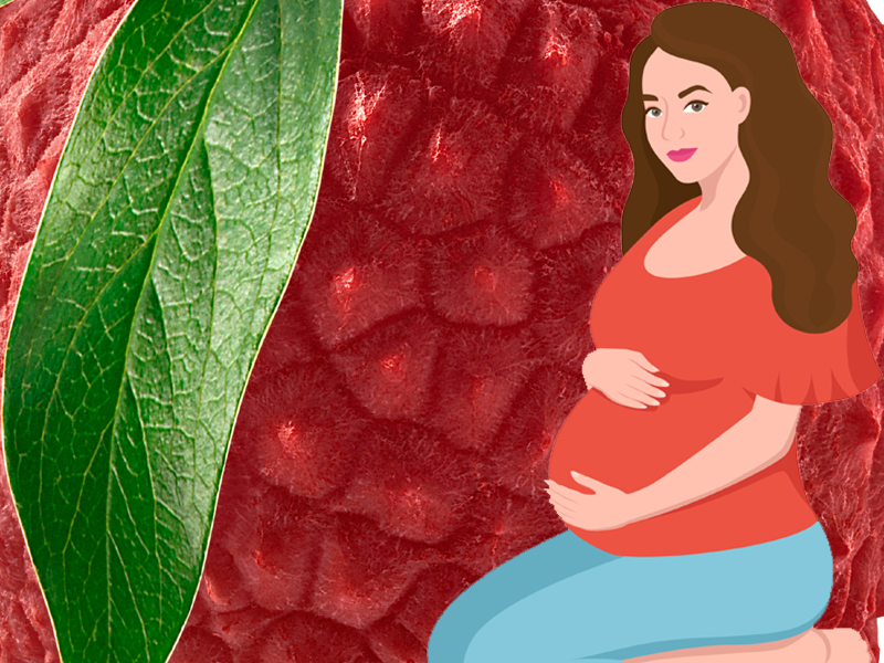 Is It Safe to Eat Lychee(litchi) Fruit During Pregnancy?