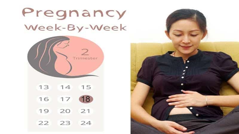18 Weeks Pregnant: Symptoms,Developments and Precautions
