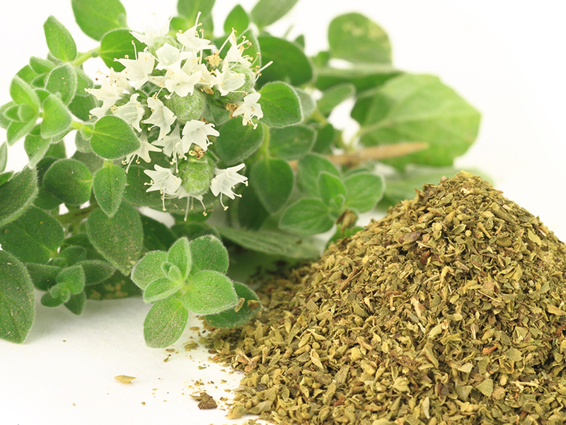 Oregano During Pregnancy: Benefits &amp; Side Effects