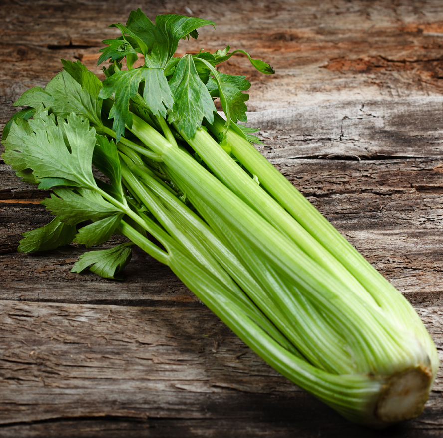 Celery During Pregnancy: Benefits and Side Effects