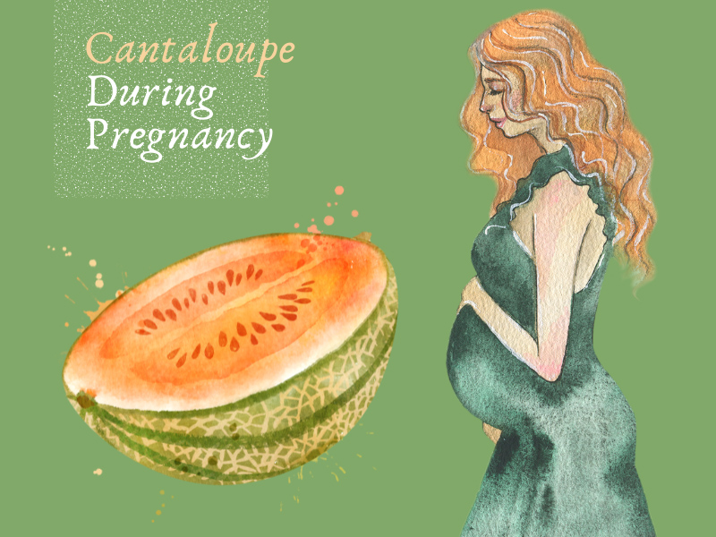 Is Cantaloupe (Muskmelon) During Pregnancy Safe?
