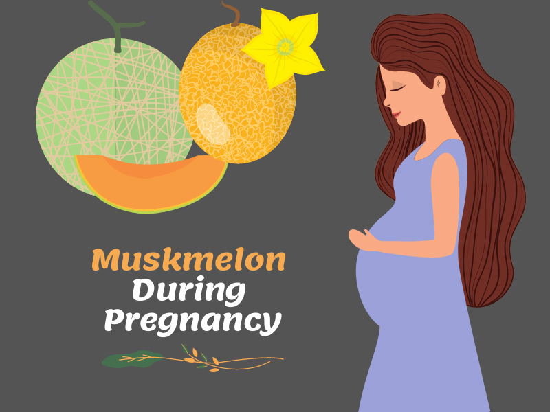 Is Cantaloupe (Muskmelon) During Pregnancy Safe?