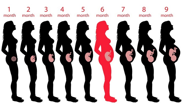 Best 6th Month Pregnancy Diet Plan: Foods To Eat &amp; Avoid