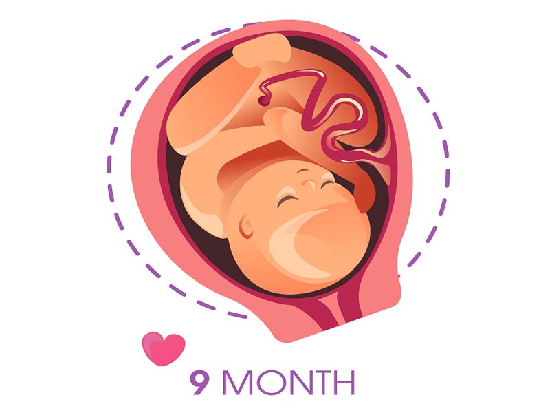9th Month Pregnant: Symptoms and Baby Development