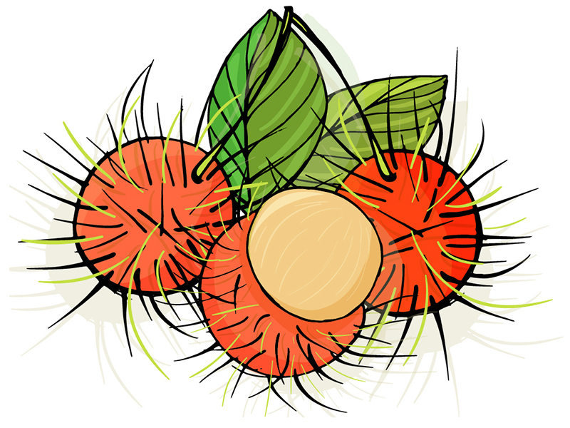 Rambutan During Pregnancy: Benefits and Side Effects