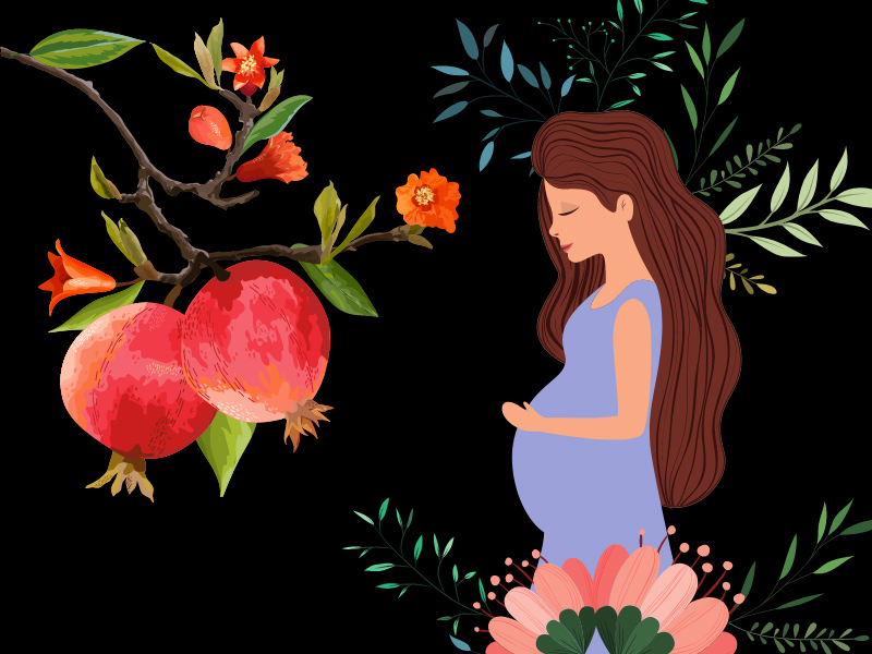 Benefits of Eating Pomegranate (Anar) During Pregnancy