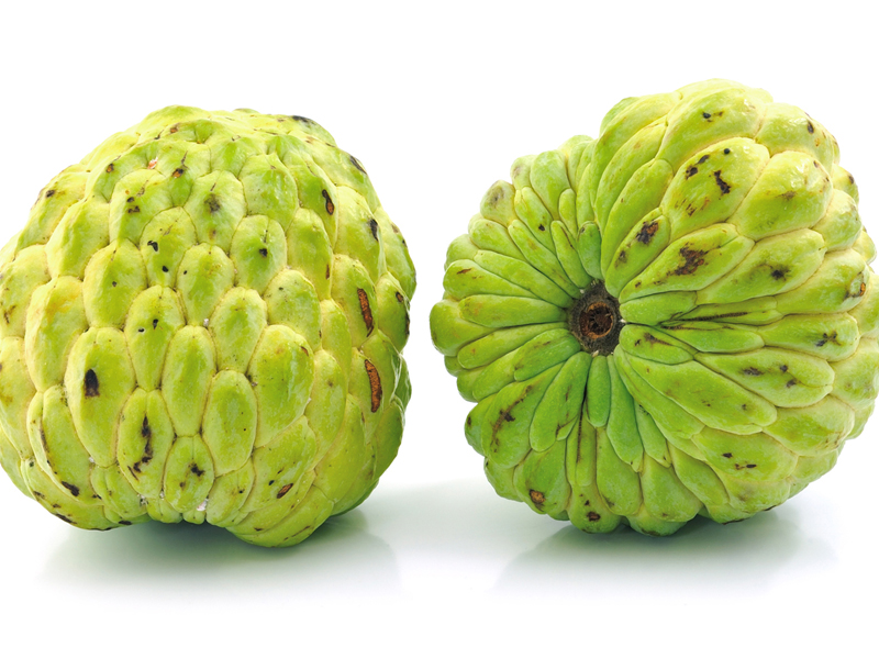 Custard Apple (Sitaphal) During Pregnancy: Benefits &amp; Risks