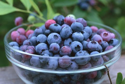 16 Healthy and Best Fruits To Eat During Pregnancy