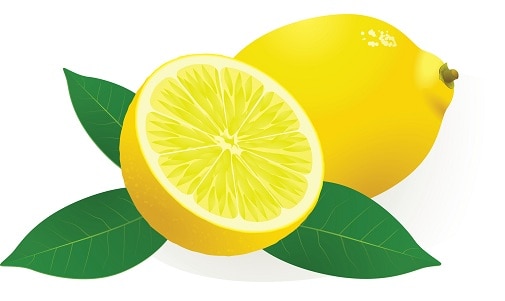 16 Healthy and Best Fruits To Eat During Pregnancy