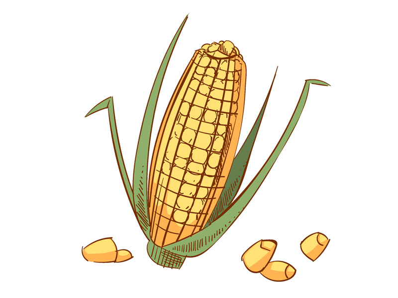 Benefits of Corn During Pregnancy and Its Side Effects