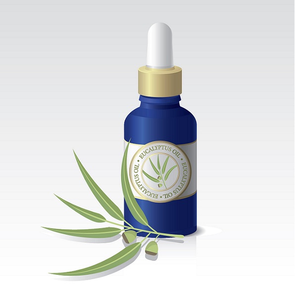 Eucalyptus Oil During Pregnancy: Benefits and Side Effects