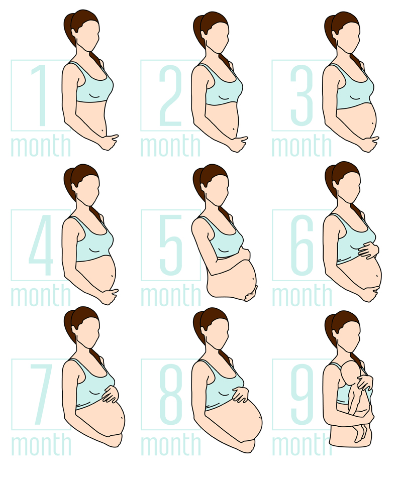 Pregnancy Stages: First Trimester To Third Trimester