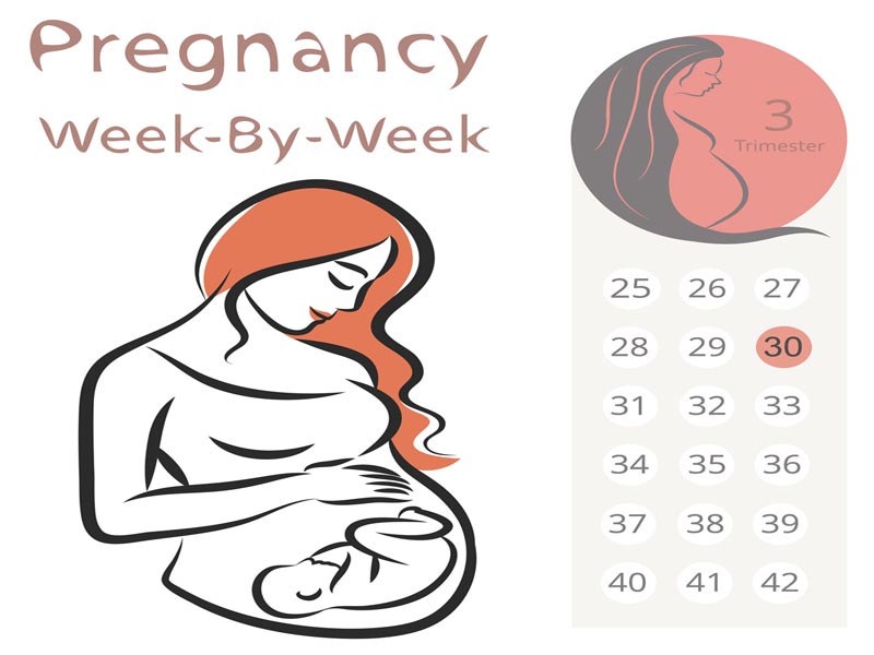 30 Weeks Pregnant: Symptoms, Milestones and Caring Tips