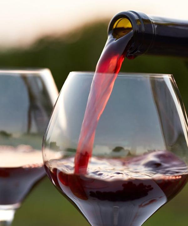 9 Famous French Food Recipes Which Are Easy To Make