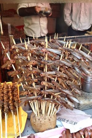 9 Different Chinese Street Food Recipes Names and Pics