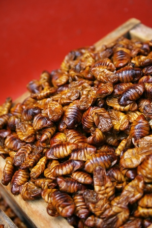 9 Famous Korean Street Food Recipes That Made Simple at Home