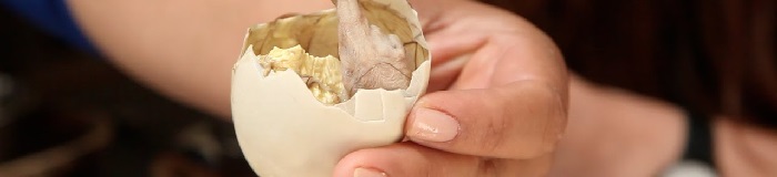 Street Foods in the Philippines: 12 Filipino Street Foods you Should Try!