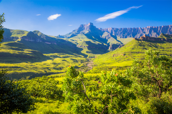 Honeymoon in South Africa: 9 Best Romantic Places to Visit