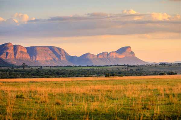 Honeymoon in South Africa: 9 Best Romantic Places to Visit