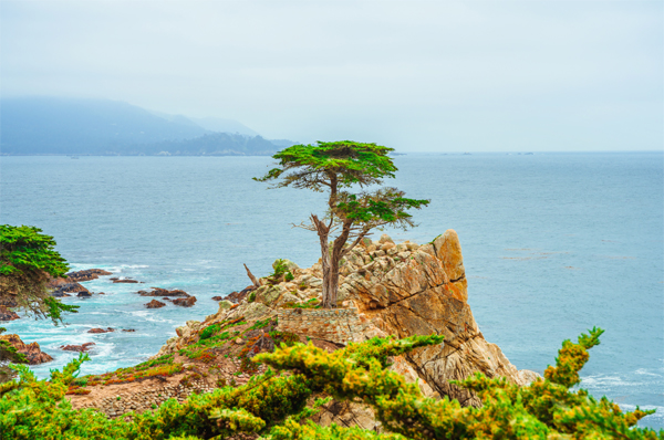 Top 9 Most Romantic Honeymoon Places in California | I Fashion Styles