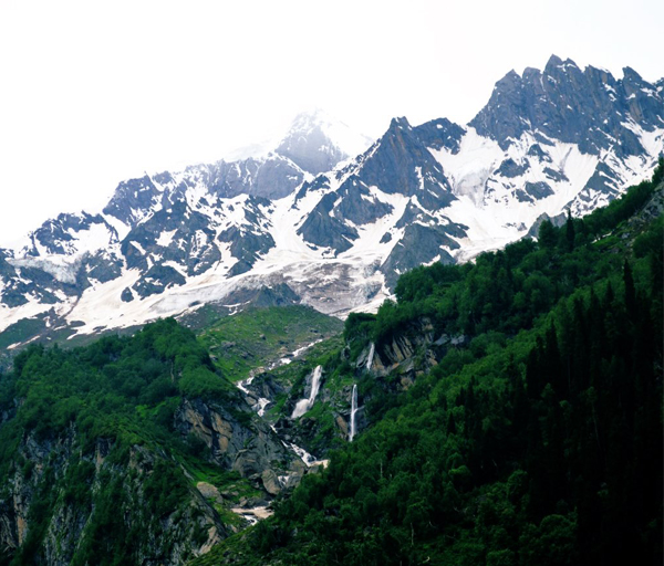 9 Best Parks and Sanctuaries in Jammu &amp; Kashmir | I Fashion Styles