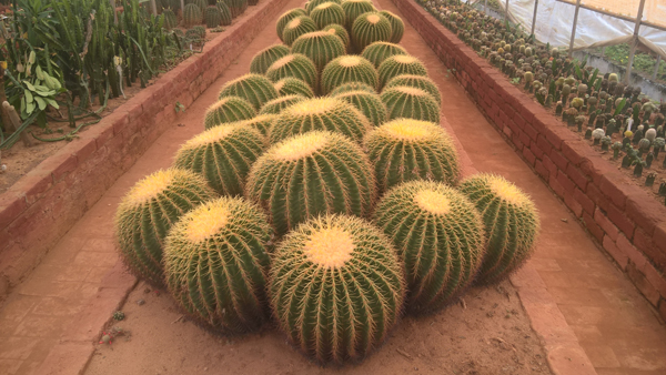 9 Famous Parks in Bhubaneswar with Pictures | I Fashion Styles