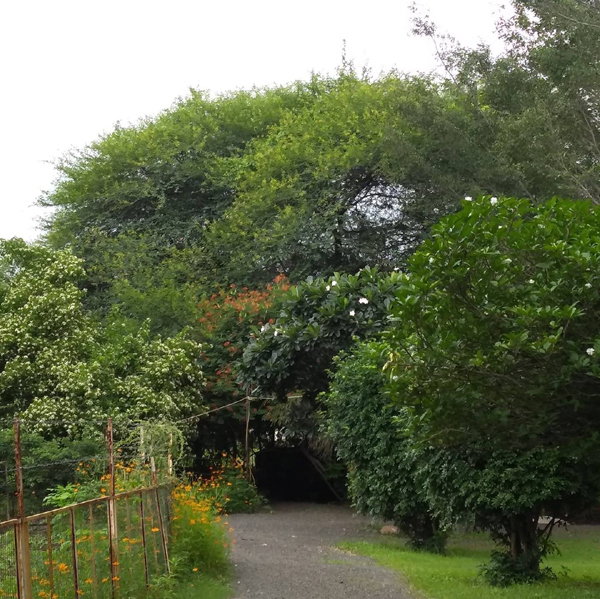 7 Famous Parks in Indore with Pictures | I Fashion Styles