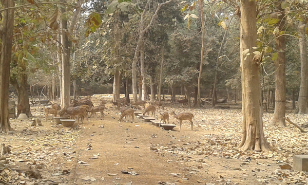 9 Famous Parks in Burdwan with Pictures | I Fashion Styles