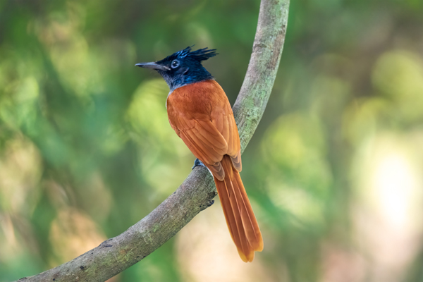 10 Famous Parks in Kolkata with Pictures | I Fashion Styles