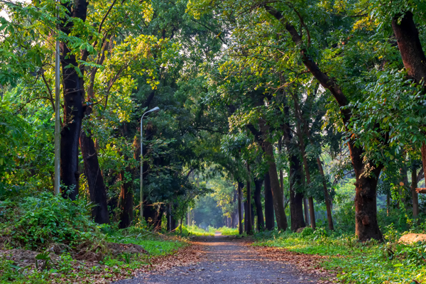 10 Famous Parks in Kolkata with Pictures | I Fashion Styles