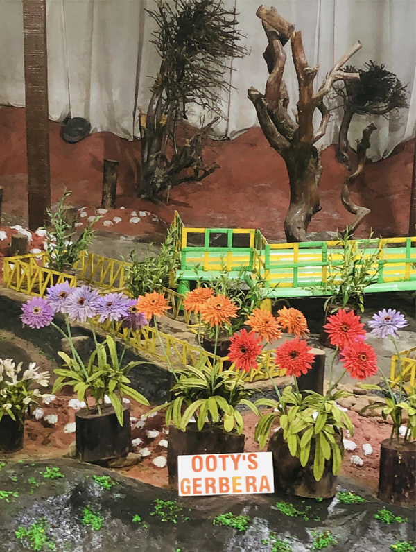 9 Famous Parks in Ooty with Photos | I Fashion Styles