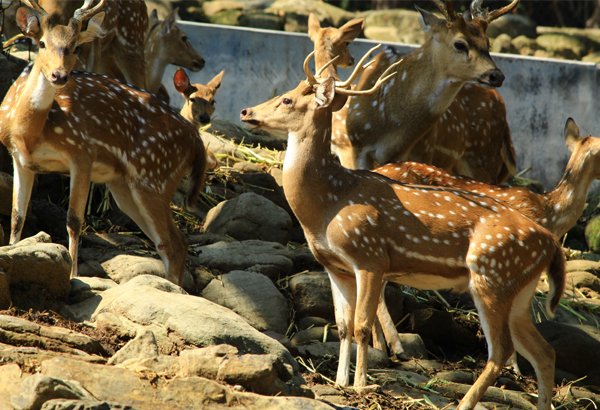 15 Best Dehradun Tourist Places to Visit | I Fashion Styles