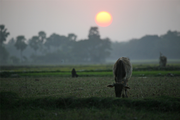 15 Best Tourist Places In West Bengal To Visit | I Fashion Styles