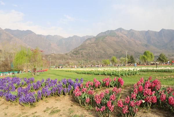 12 Best Tourist Places to Visit in Srinagar | I Fashion Styles