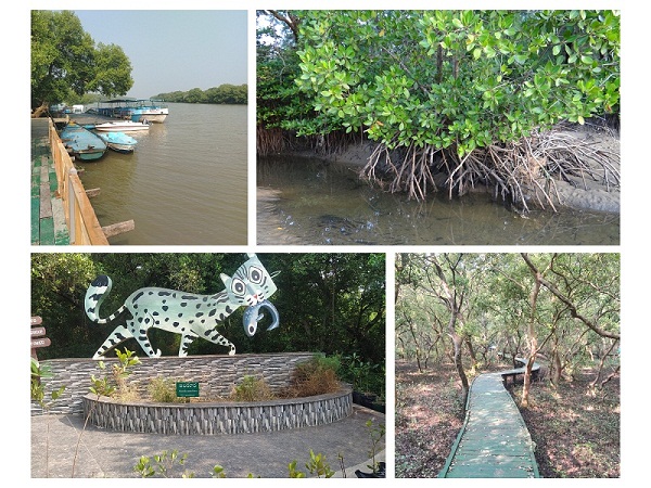 యానాం: 10 Must Visit Yanam Tourist Places (River, Hotels)