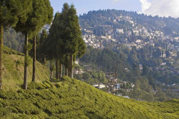 Top 24 Tourist Places in Darjeeling to Visit in 2023 | I Fashion Styles