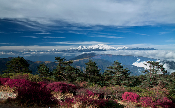 Top 24 Tourist Places in Darjeeling to Visit in 2023 | I Fashion Styles