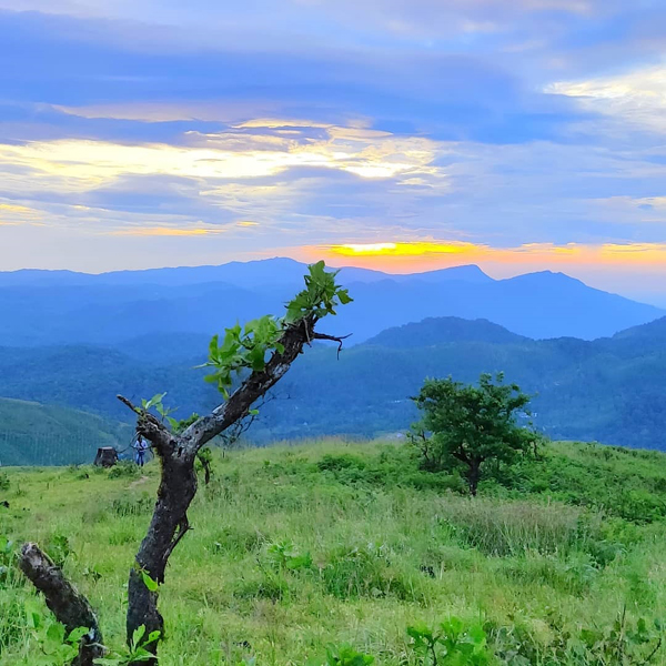 35 Best Tourist Places in Wayanad with Pictures – 2024 | I Fashion Styles